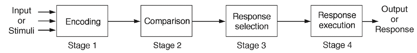 Procesador de información